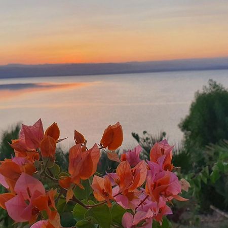 Comfy Stays Sea View Apartments At Deadsea Samarah Resort Sweimeh ภายนอก รูปภาพ