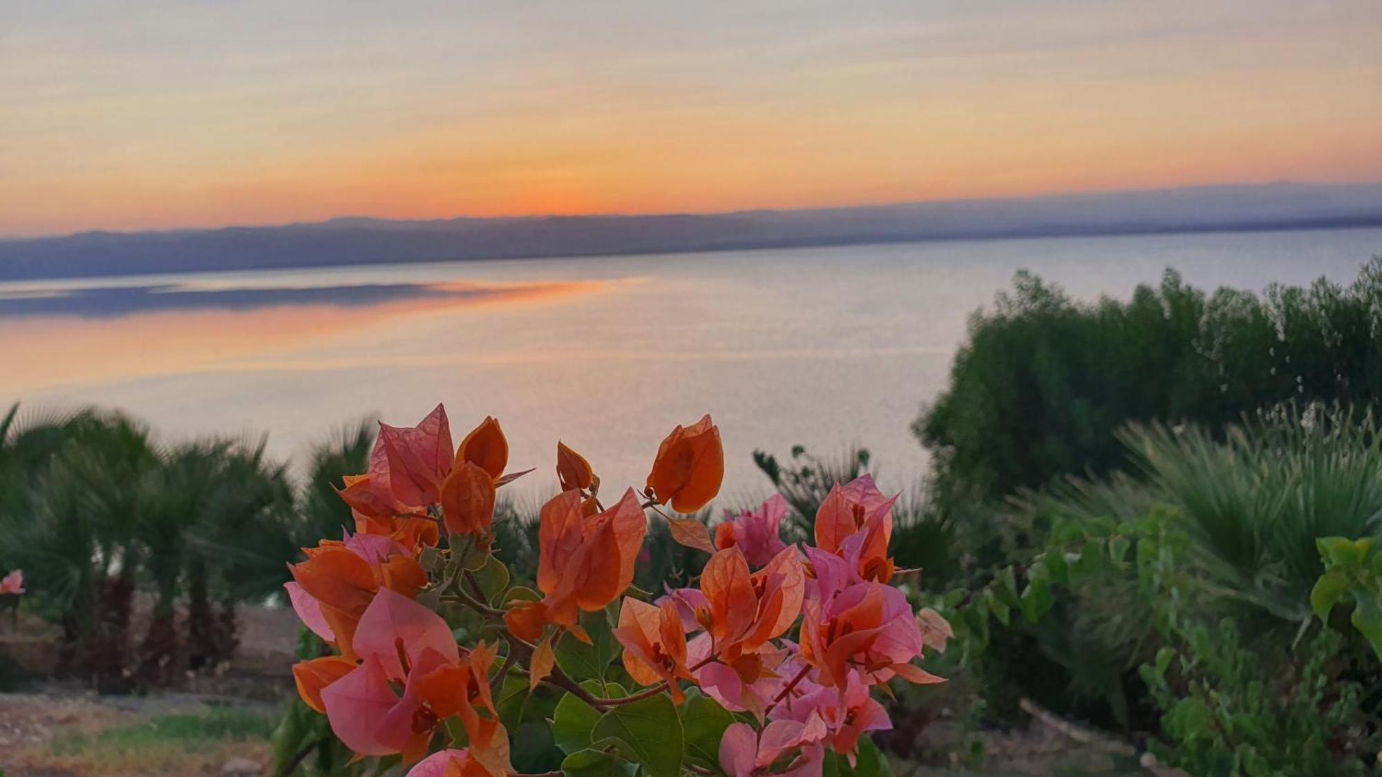 Comfy Stays Sea View Apartments At Deadsea Samarah Resort Sweimeh ภายนอก รูปภาพ