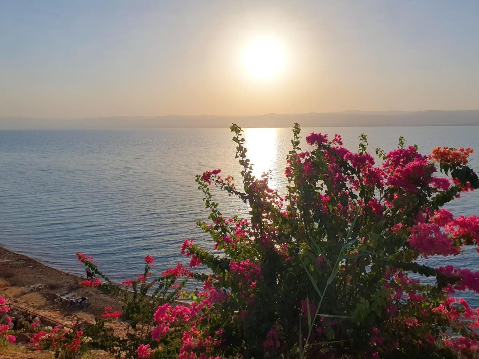 Comfy Stays Sea View Apartments At Deadsea Samarah Resort Sweimeh ภายนอก รูปภาพ